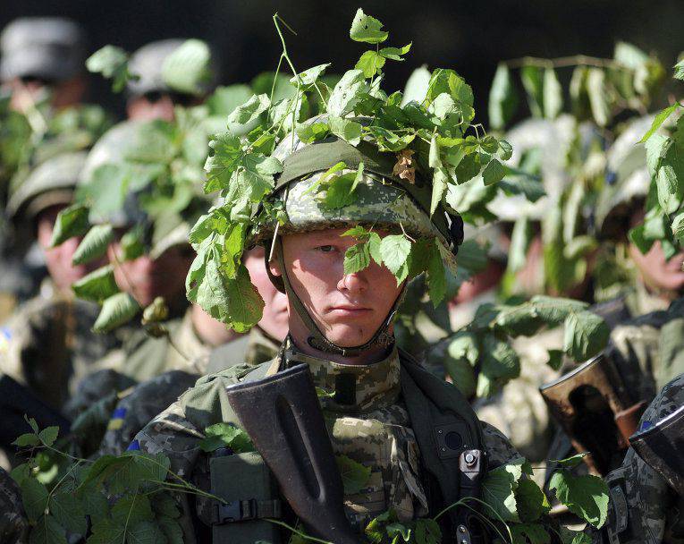 Polnischer Minister: Russland sollte sich keine Sorgen um NATO-Übungen in der Ukraine machen