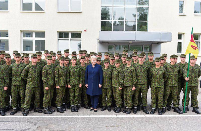 Grybauskaite announced that Lithuania will not switch to NATO financial standards in 2020, but in 2018.