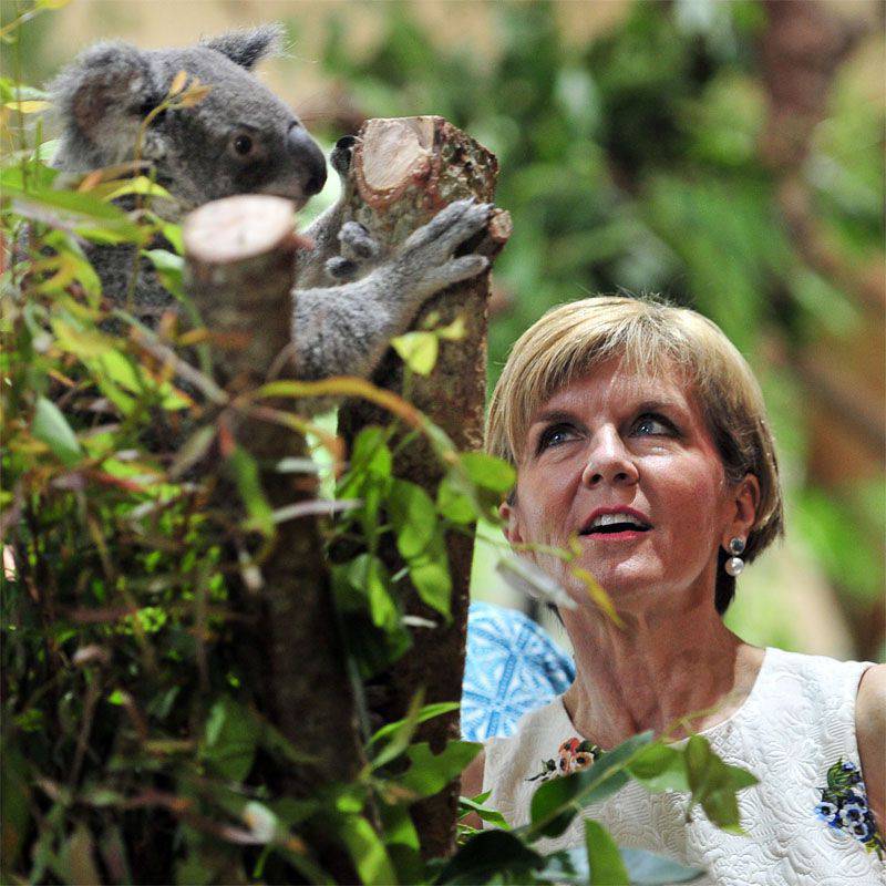 Julie Bishop: Criaremos um "tribunal dos países em luto"