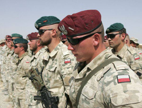 I rappresentanti dell'ex corpo burocratico della Polonia e degli stati baltici chiedono che la NATO aumenti la sua presenza militare nella regione baltica