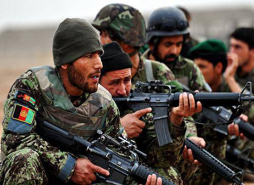 Afghan Defense Ministry: over the past day the Afghan army destroyed 197 militants