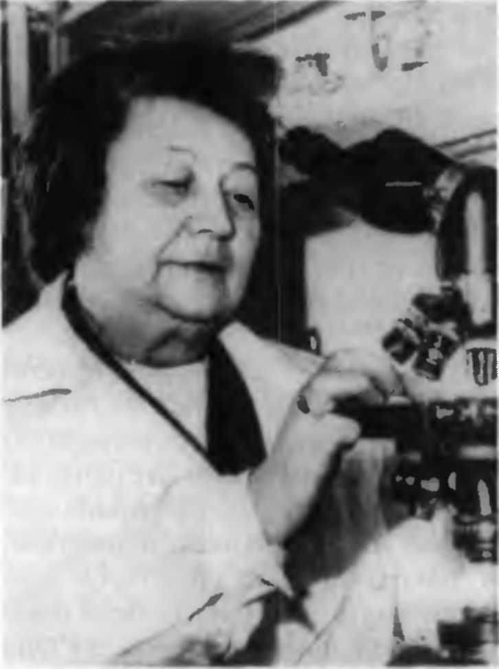 Наука на войне