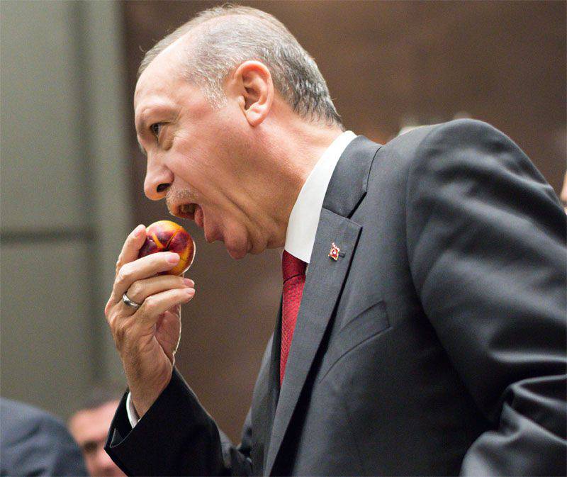 Erdogan zei dat Turkije "het incident niet zal opblazen" (met de Su-24), maar de rechten van de "broeders" zal blijven beschermen