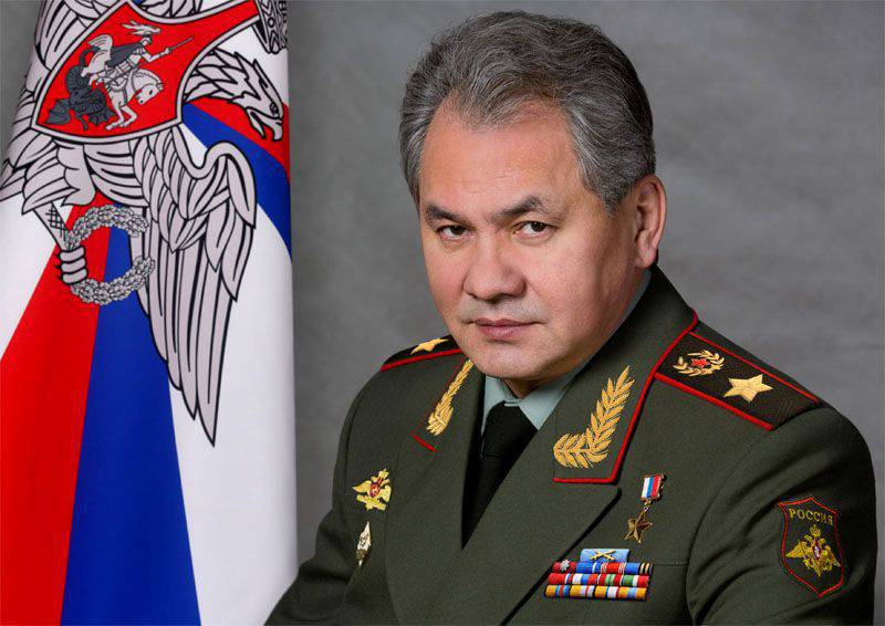 Sergei Shoigu：“北约在东欧的部队人数增加了13倍”