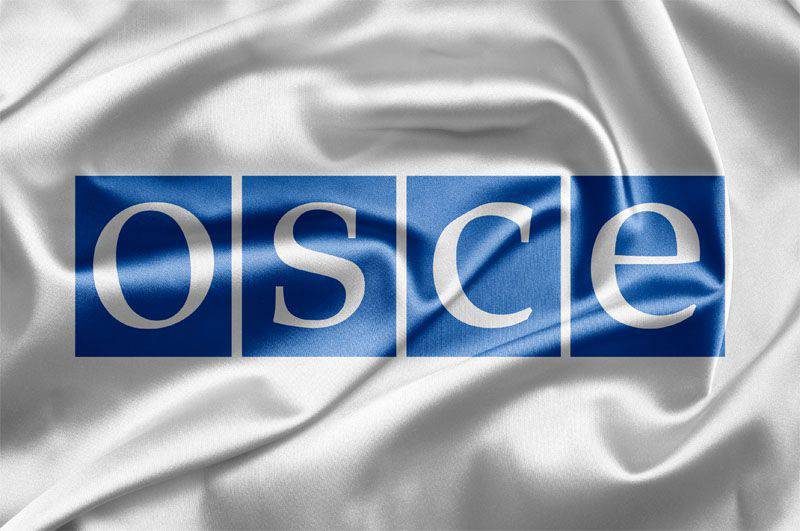 The rhetoric of Kiev after the shelling of the OSCE SMM near Kominternovo: "They fired on themselves"