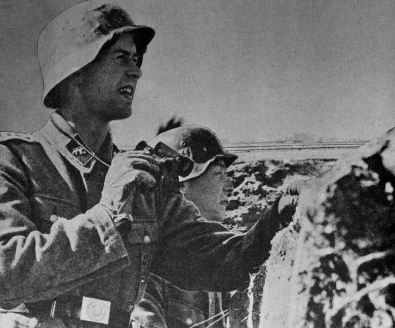 Европейские крестоносцы Гитлера под Ленинградом. Часть первая