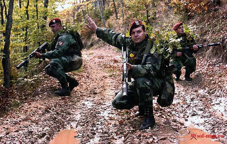러시아 공수부대와 세르비아 특수여단이 합동훈련을 실시한다.