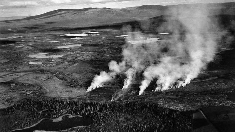 Дождаться в живых