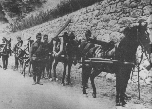 La cinquième bataille de l'Isonzo
