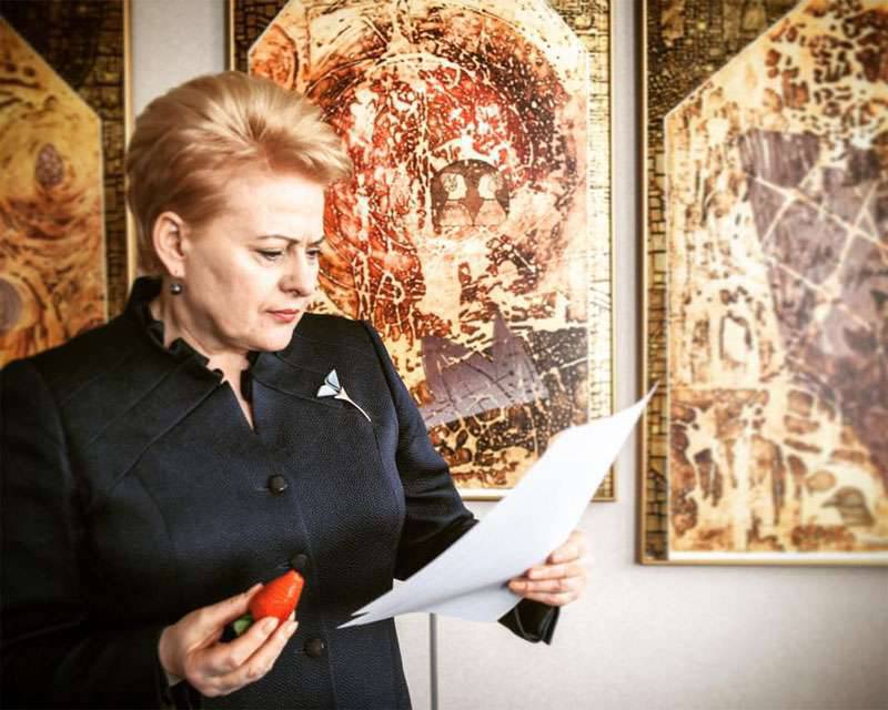 Grybauskaite: "테러리즘이 유럽에 전쟁을 선포했으며 유럽은 테러와의 전쟁을 선포해야 합니다."
