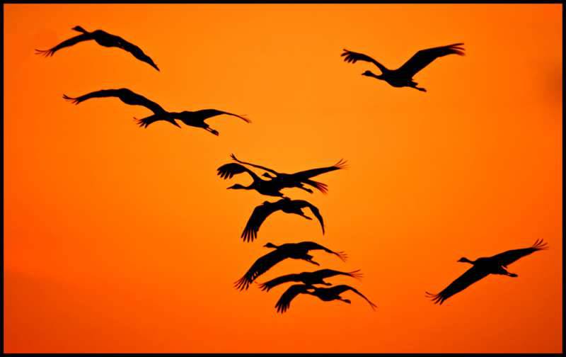 Злые мысли русского немца. Часть 2