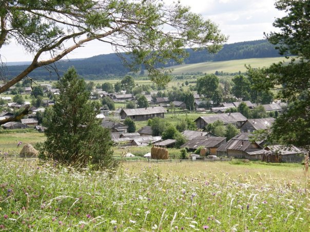 Злые мысли русского немца. О мудрости