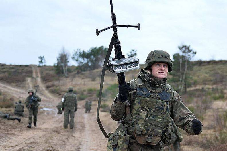 A formação das forças de defesa territorial na Polônia começará em setembro