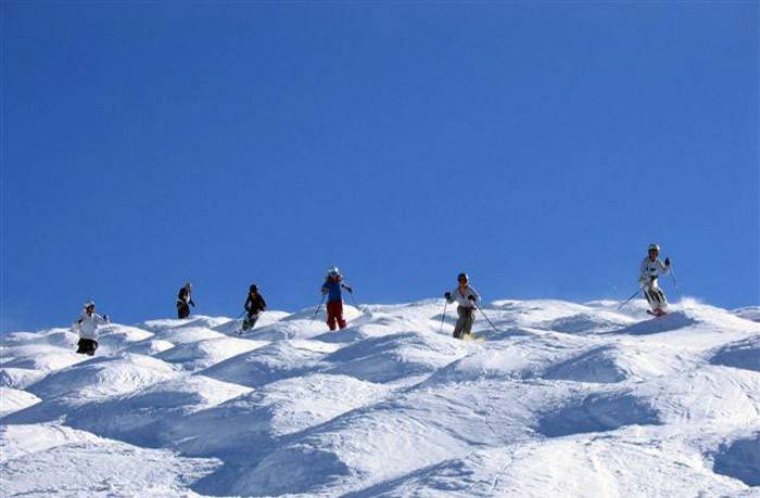 Spor Uzmanları - Parazitler