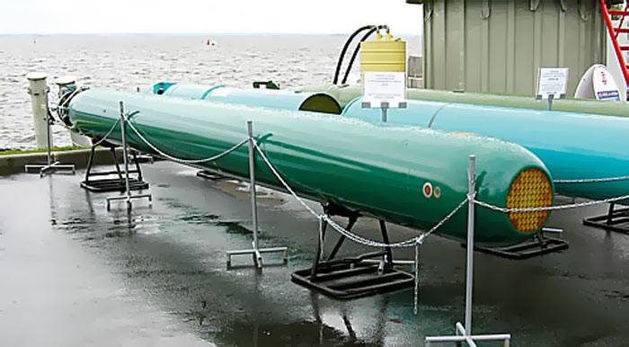 Perspectiva torpedo "caso" pasa las pruebas estatales