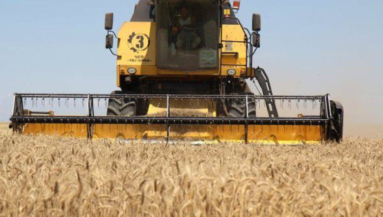 Conselheiros do primeiro-ministro ucraniano sugerem o levantamento da moratória sobre a venda de terras agrícolas