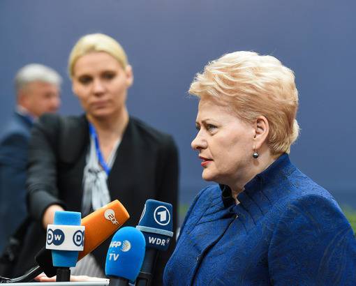 Lithuanian President: After Britain left the EU, responsibility for stability in Europe fell on the shoulders of Germany