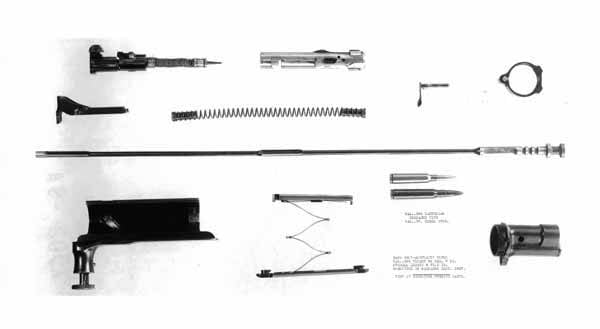 Self-loading rifles S.Kh. Banga (Denmark-USA)