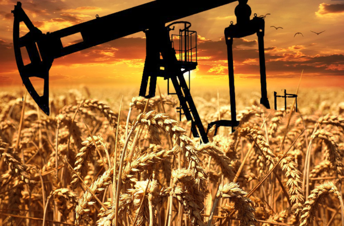 Rusya petrol ve buğday yetiştirecek