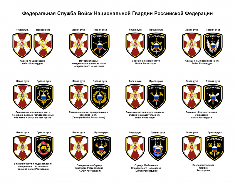 Части службы. Шевроны ФСВНГ РФ. Шеврон войска национальной гвардии Российской Федерации. Нашивка войска национальной гвардии Российской Федерации. ФС ВНГ России Шеврон.