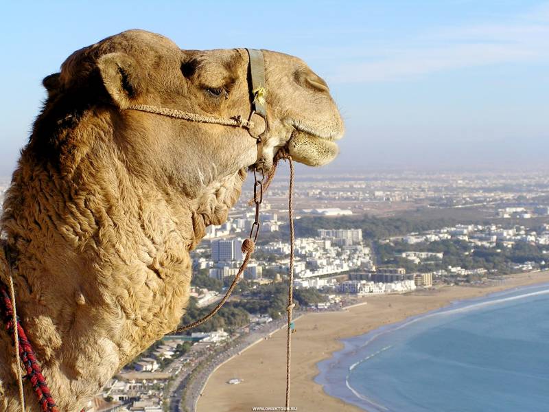 Марокко: политическая стабильность и религиозные фундаменталисты в «жемчужине Магриба»