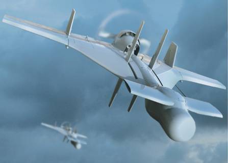 Os drones Kamikaze estão ganhando popularidade no mundo