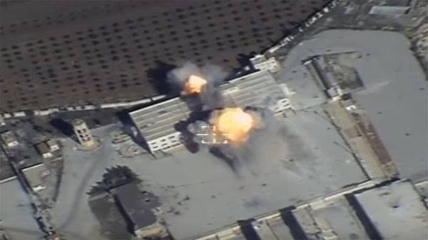 "Медведи" в деле