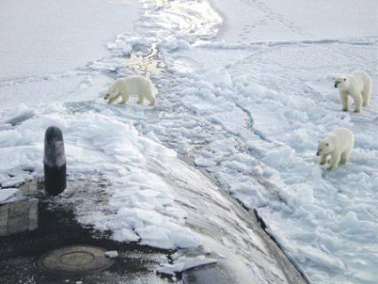 Han surgido amenazas híbridas en el Ártico