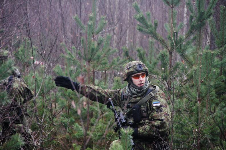 Baltic States advised to prepare for a guerrilla war against the "Russian army"