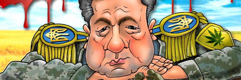 Украинские каратели убивают, Порошенко горюет по Алеппо