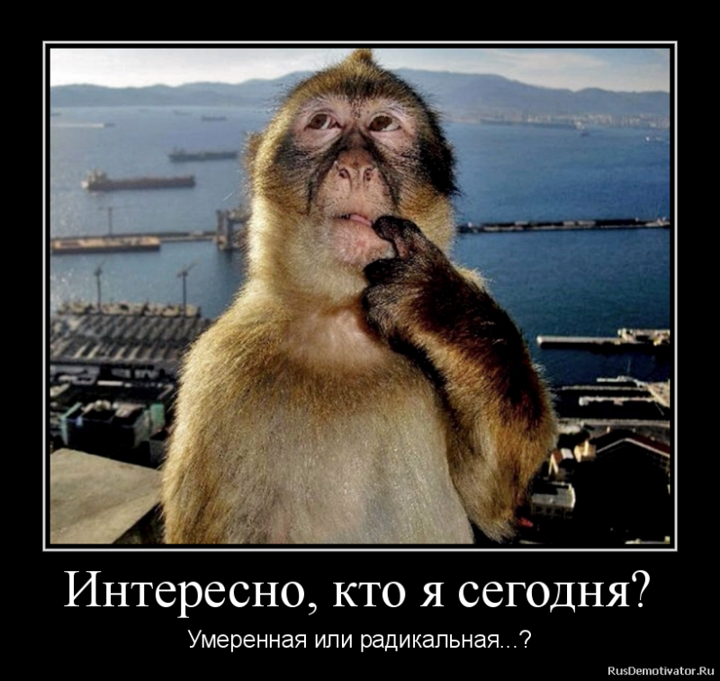 Прекрасные шутка. Умная и красивая мартышка. Красивее обезьяны шутка. Обезьяна к умным или красивым. Я И умная и красивая обезьяна.