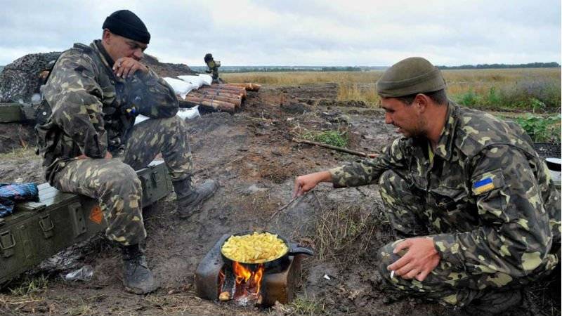 "Es ist unmöglich, eine solche Armee zu besiegen" ... Der Zustand der "Nachlässigkeit" der ukrainischen Streitkräfte