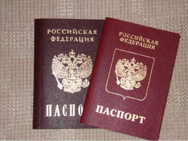 Депутаты предлагают предоставлять гражданство РФ по "праву почвы"