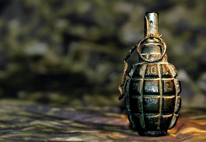 Современные российские гранаты РГН. Инфографика