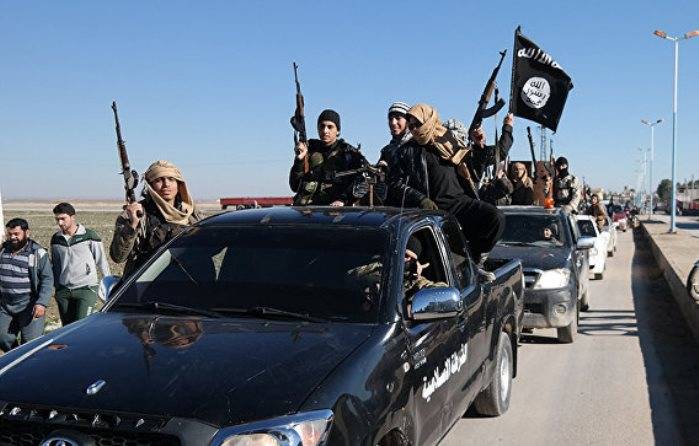 Главари ИГ и «Аль-Каиды» пытаются договориться о едином союзе
