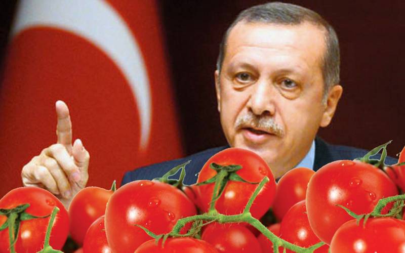 与土耳其的战争：小麦和西红柿