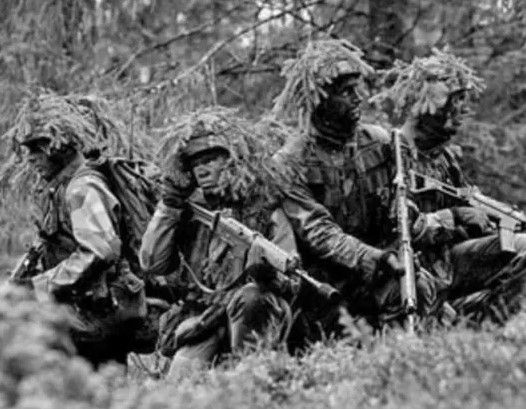 Шведская «репетиция войны с Россией» скорее напоминает спектакль