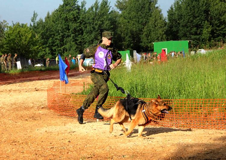 Kvalificeringstävlingar för "True Friend"-tävlingen avslutades i Eastern Military District