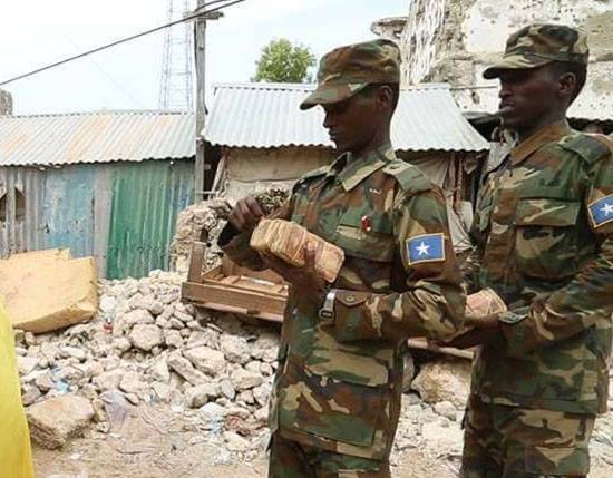 Turki: Mari Bantu Membentuk Tentara Somalia Profesional