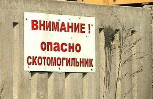 ДНР предупреждает об опасности экологической катастрофы в связи с безнадзорностью скотомогильников в зоне боёв