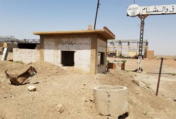 Признаки раскола в рядах ИГИЛ после ликвидации аль-Багдади