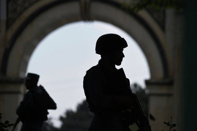 Las fuerzas militares en Afganistán y Egipto informan que un gran número de militantes murieron.