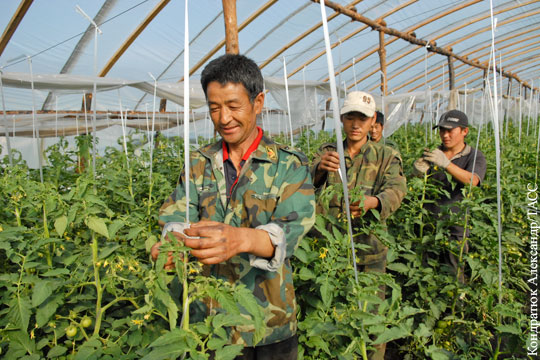 Китайцы уходят с российского Дальнего Востока