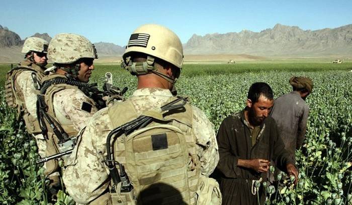 러시아 MFA : 미국의 마약 제조 회사가 아프가니스탄에서 실패