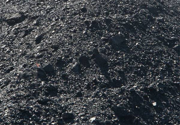 Poland recognized the purchase of coal in the LC