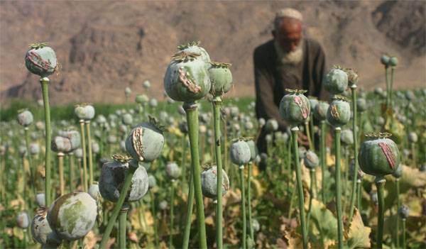 Trump has introduced a state of emergency in the United States due to opium addiction