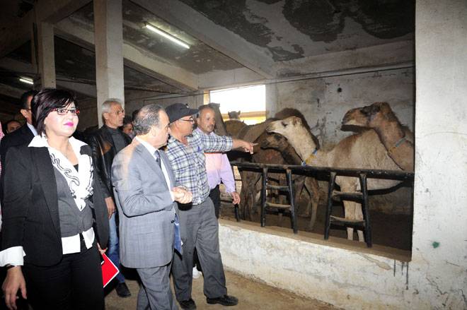 Batı medyası Suriye’ye barışçıl yaşamın geri döndüğünü fark etmemeyi tercih ediyor