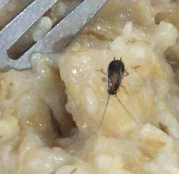 Porridge with cockroaches and worms: at Kharkov University of the Air Force passed the test