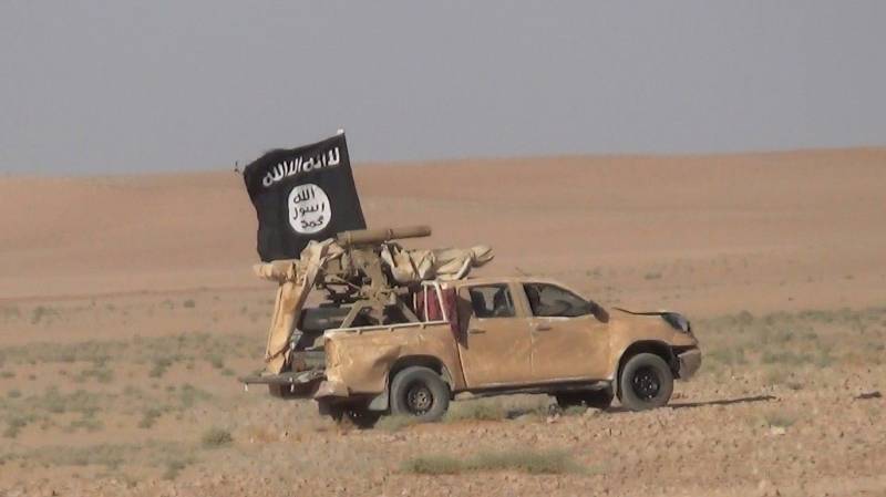Дуэль танка и «джихад-мобиля» в Ираке