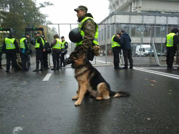 Резиновые пули и служебные собаки. Кабмин Украины узаконил силовой разгон акций протеста